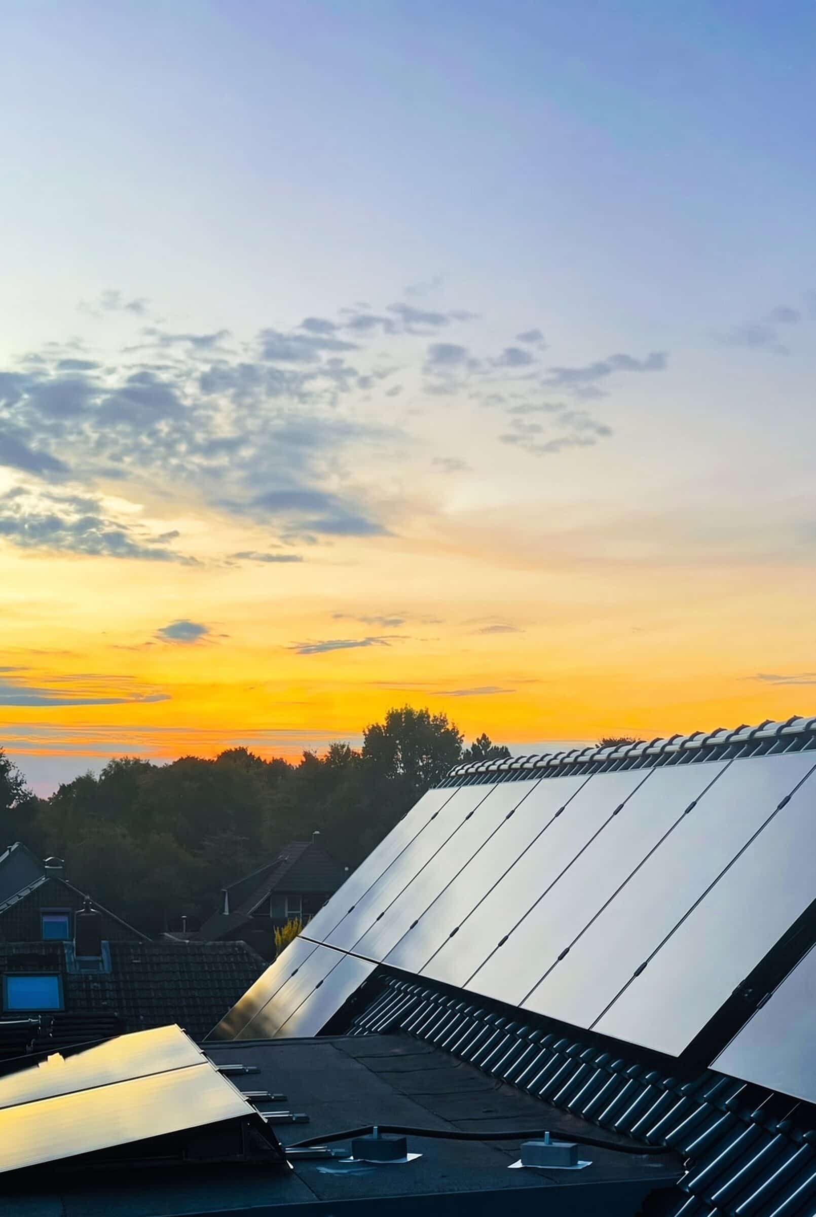 Aufgeständerte Module in der Abendsonne